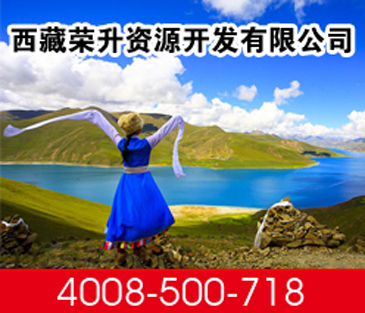 西藏榮升資源有限公司